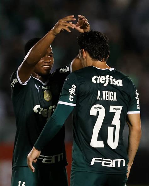 palmeiras x botafogo resultado